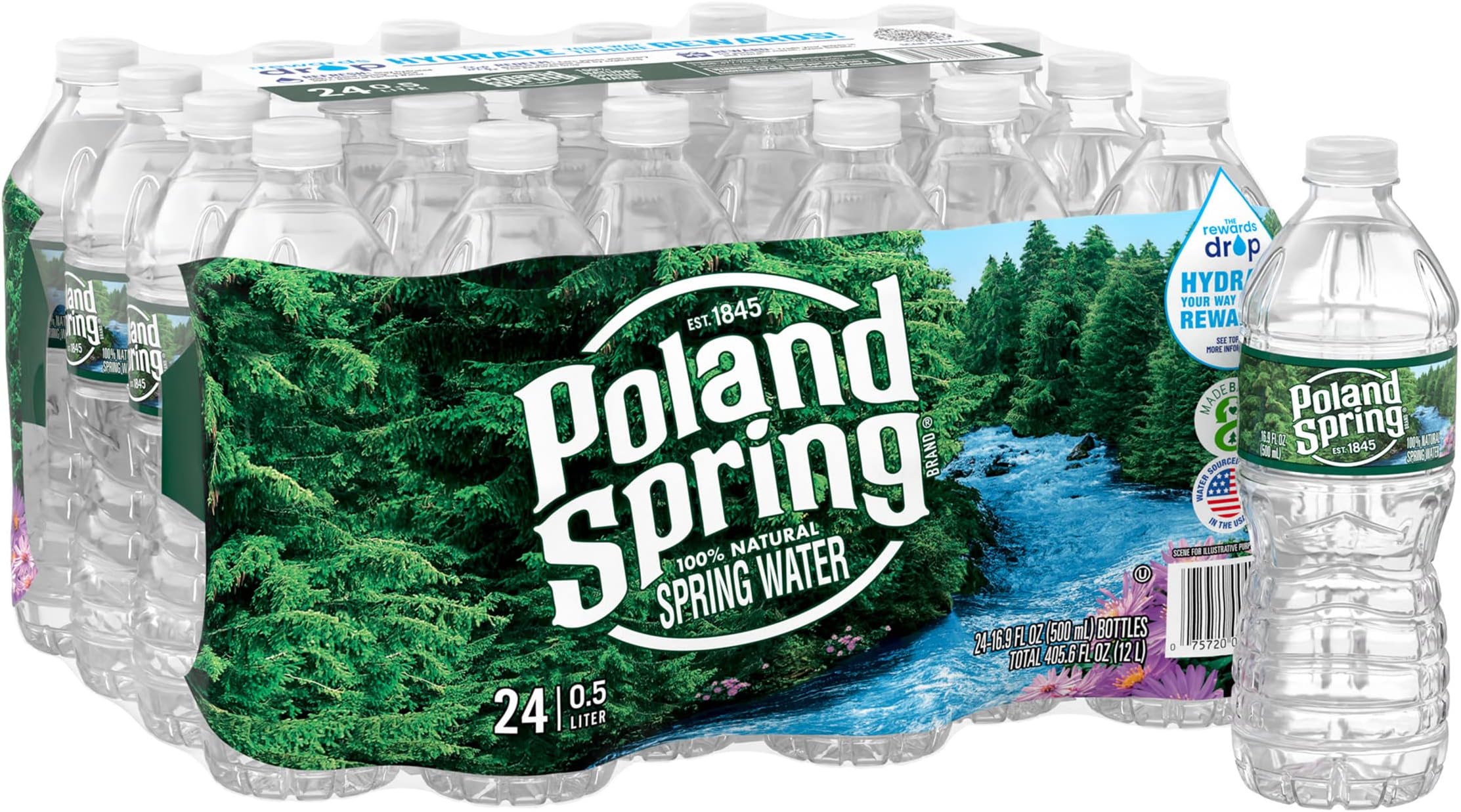 Natural Spring Water, Purified Bottled Water, 16.9 fl oz Bottles, 24-Pack